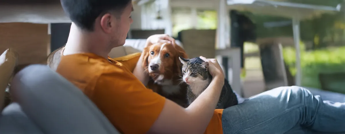 Tips on caring for our pets’ health, effectively but efficiently