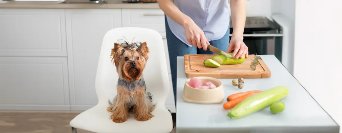 Can Dogs Live Off Homemade Dog Food?
