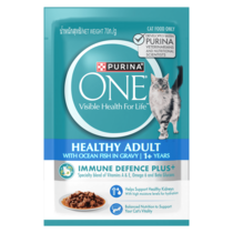 Healthy Adult with Ocean Fish 