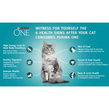 PURINA ONE® Healthy Adult with Salmon and Tuna Dry Cat Food