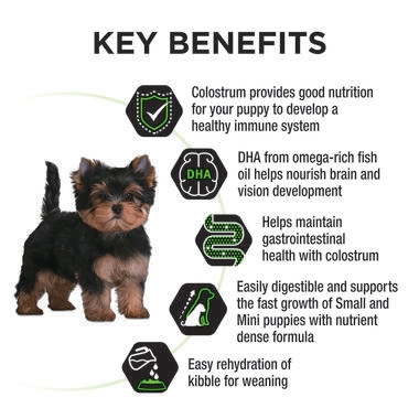 PRO PLAN® Puppy Healthy Growth & Development Small & Mini Breed with Chicken Dry Dog Food 3