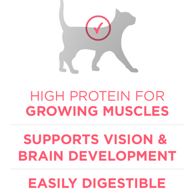 PURINA ONE® Healthy Kitten with Chicken Dry Cat Food 3