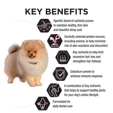 PRO PLAN Puppy Sensitive Skin & Coat All Size Salmon Dry Dog Food