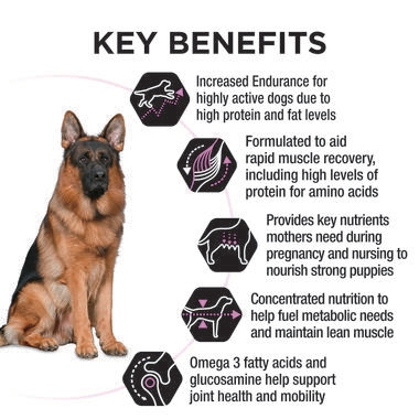 PRO PLAN® All Lifestages Performance with Chicken Dry Dog Food 3