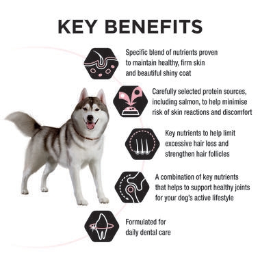 PRO PLAN® Adult Sensitive Skin & Coat Medium & Large Breed with Salmon Dry Dog Food 3