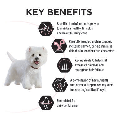 PRO PLAN® Adult Sensitive Skin & Coat Small & Mini Breed with Salmon Dry Dog Food 3