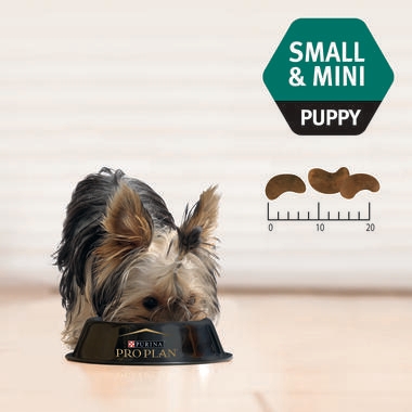 PRO PLAN® Puppy Healthy Growth & Development Small & Mini Breed with Chicken Dry Dog Food 4