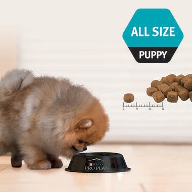 PRO PLAN® Puppy Sensitive Skin & Coat All Size with Salmon Dry Dog Food 4
