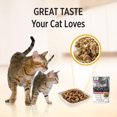 PRO PLAN® Adult Sensitive Skin with Chicken Wet Cat Food 4