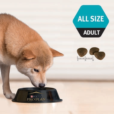 PRO PLAN® Adult Sensitive Digestion All Size with Lamb & Rice Dry Dog Food 4