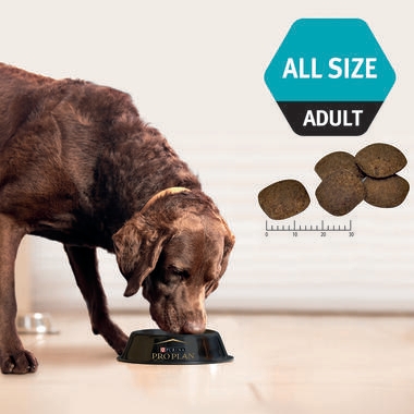PRO PLAN® Adult Sensitive Skin & Stomach All Size Salmon & Tuna Dry Dog Food 4