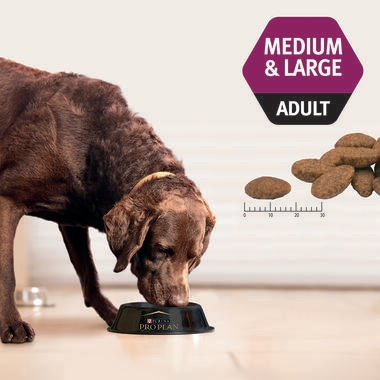 PRO PLAN® Adult Sensitive Skin & Coat Medium & Large Breed with Salmon Dry Dog Food 4