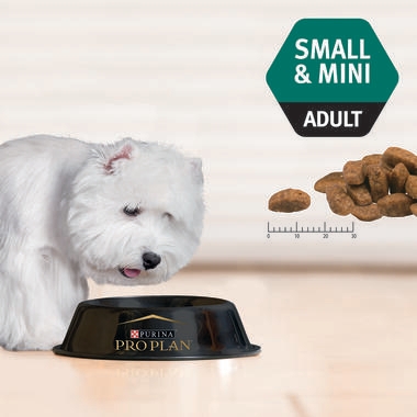 PRO PLAN® Adult Sensitive Skin & Coat Small & Mini Breed with Salmon Dry Dog Food 4