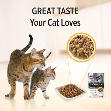 PRO PLAN® Adult 7+ with Chicken Wet Cat Food 4
