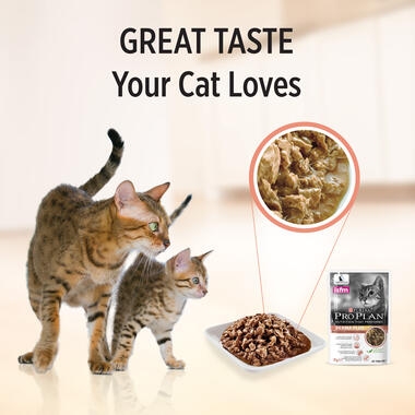 PRO PLAN® Adult Derma Plus with Salmon Wet Cat Food 4