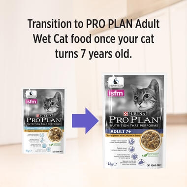PRO PLAN® Adult Urinary Tract Health with Chicken Wet Cat Food 6