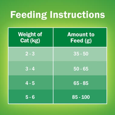 feeding guide