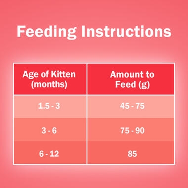 feeding guide