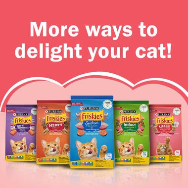 Friskies cat food flavours