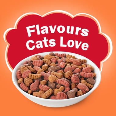 Friskies bowl of dry cat food