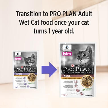 transition to adult cat food after 1 year old