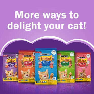 FRISKIES® Adult Surfin' Favourites Dry Cat Food