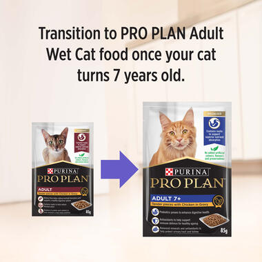 Wet Cat Food PRO PLAN Adult, with chicken transition