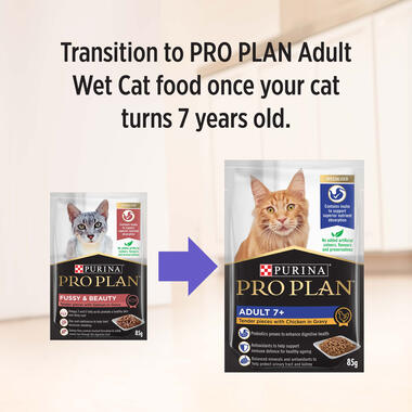 PRO PLAN® Adult Fussy & Beauty with Salmon in Gravy Wet Cat Food