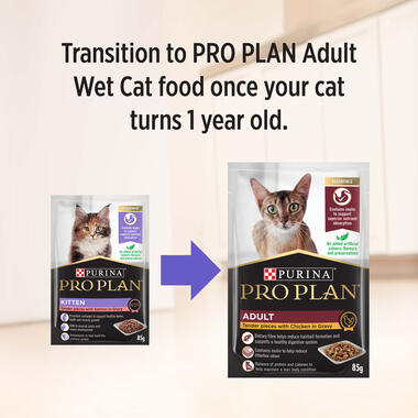 PRO PLAN Kitten, with Salmon, Wet Cat Food transition