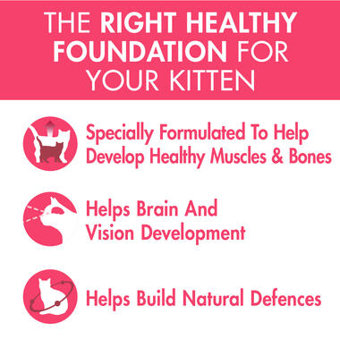 PURINA ONE Healthy Kitten with Chicken Wet Cat Food_benefits
