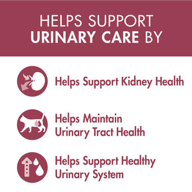 PURINA ONE® Adult Urinary Care with Chicken Wet Cat Food_benefits