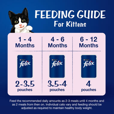 FELIX® As Good As It Looks Kitten Chicken in Jelly Wet Cat Food