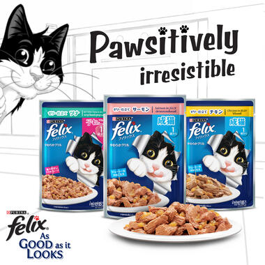 FELIX® As Good As It Looks Kitten Chicken in Jelly Wet Cat Food