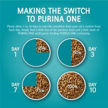 Making the switch to PURINA ONE