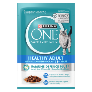 Healthy Adult with Ocean Fish