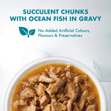 Healthy Adult with Ocean Fish food image