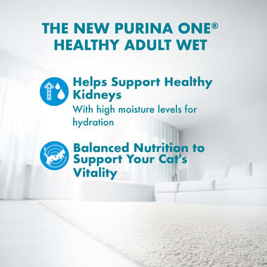 Healthy Adult with Ocean Fish benefits