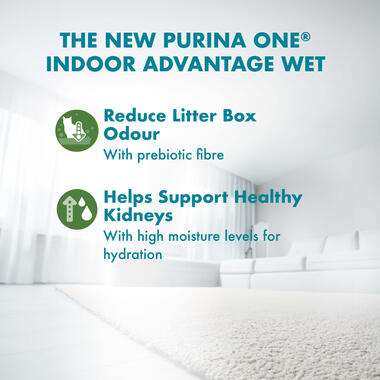 Adult Indoor Advantage with Chicken benefits