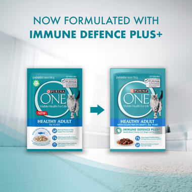 Healthy Adult with Ocean Fish Change of pack