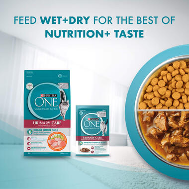 Adult Urinary Care with Chicken mix feeding