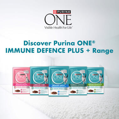 Adult Urinary Care with Chicken range