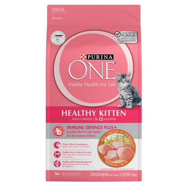 PURINA ONE Healthy Kitten with Chicken Dry Cat Food