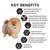 PRO PLAN® Puppy Sensitive Skin & Coat All Size with Salmon Dry Dog Food 3