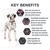 PRO PLAN® Adult Sensitive Skin & Stomach All Size Salmon & Tuna Dry Dog Food 3