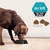 PRO PLAN® All Lifestages Performance with Chicken Dry Dog Food 4