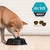 PRO PLAN® Adult Sensitive Digestion All Size with Lamb & Rice Dry Dog Food 4