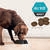PRO PLAN® Adult Sensitive Skin & Stomach All Size Salmon & Tuna Dry Dog Food 4