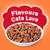 Friskies bowl of dry cat food