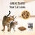 a cat and a kitten looking at food