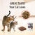 Cat and kitten looking at food